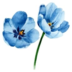 花